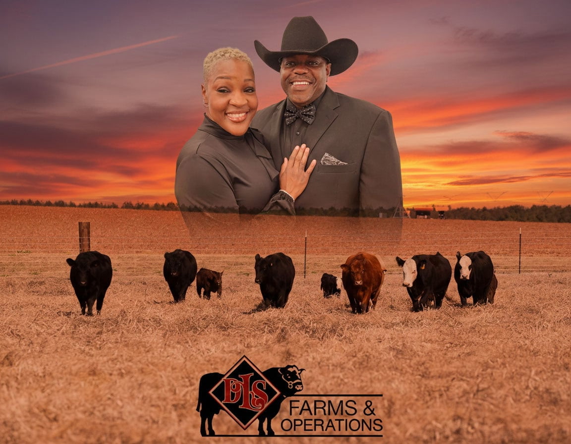 Premium cattle grazing at DLS Farms, South Georgia cattle ranch