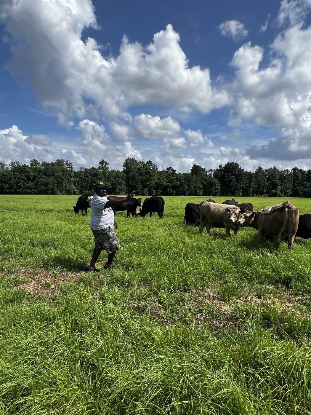 DLS Farms cattle and owner in South Georgia field