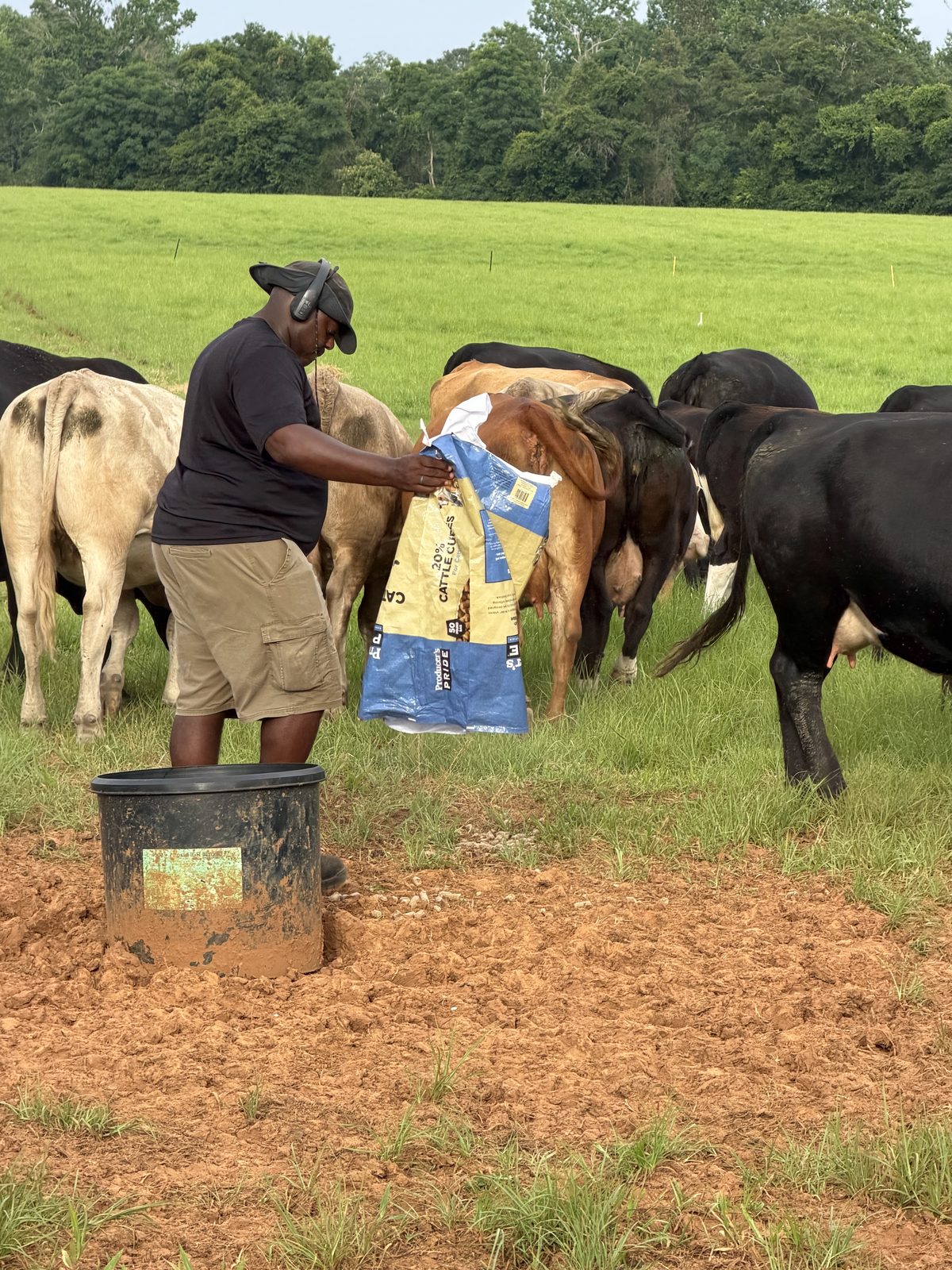 DLS Farms owner feeding cattle in the South Georgia pasture